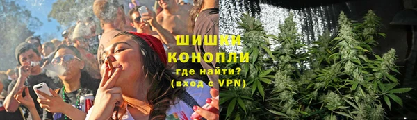 винт Алексин