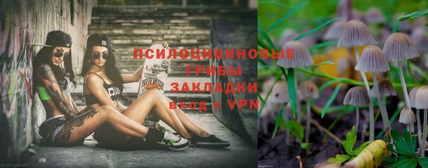 винт Алексин
