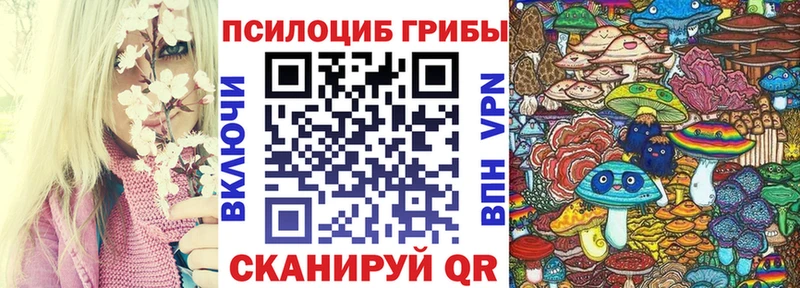ОМГ ОМГ зеркало цены Старый Оскол Галлюциногенные грибы Cubensis